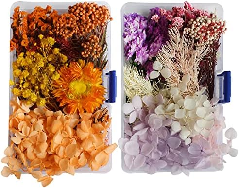 פרחים יבשים לתבניות שרף, 2 קופסאות עלי פרחים יבשים לחוצים אמיתיים מעורבבים מרובים צבעוניים לצורך