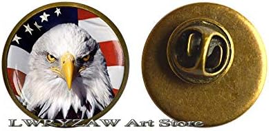 סיכת דגל הנשרים האמריקאית, כוכבים ופסים, מתנה בארהב, תכשיטים פטריוטיים אמריקה ארצות הברית 4 ביולי, סיכת