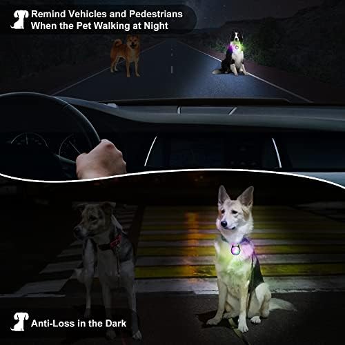 אור צווארון כלבים, 4 מצבים אורות כלבים להליכה בלילה, RGB צבע החלפת אור כלב, אורות צווארון כלבים