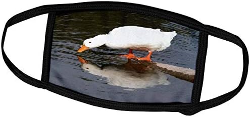 3רוז בוורלי טרנר צילום-מראה מראה, ברווז לבן-פנים מכסה