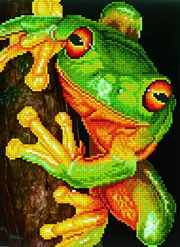 דיאמונד דוץ אינטרמט קיט צפרדע עץ ירוקה
