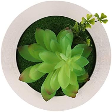 מסגרת צילום מזויפת של Vicasky מזויפת ממסגרת צמחים יצירתיים מחזיק תצלום