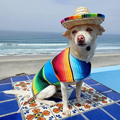 4 מארז פיאסטה כלב ללעוס צעצועי סומבררו-מקסיקני חריקה בפלאש צעצועים-כלב מתנות עבור צ ' יוואווה-טאקו-טקילה-רוטב
