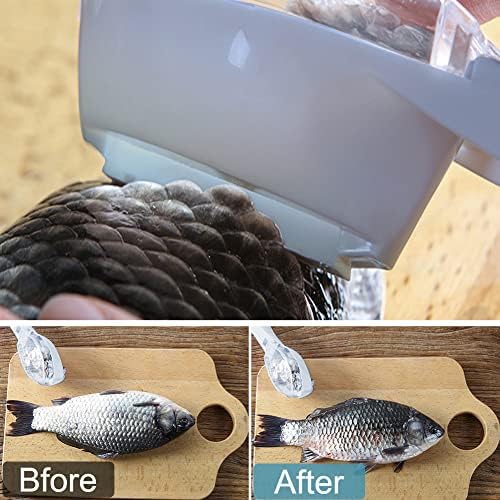 דגי סקלר מהיר בקנה מידה מסיר מסיר אבנית כלי עור מברשת גירוד ניקוי קולפן מגרד כחול