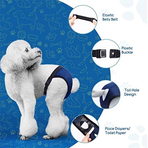 תחתוני חיות מחמד תחתונים תחתונים תחתונים מכנסיים קצרים רחיצים מתאימים לכלבים בינוניים וגדולים קטנים