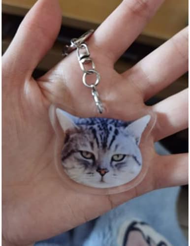 אישית, אישית לחיות מחמד חתול תמונה מחזיקי מפתחות, מותאם אישית לחיות מחמד חתול אקריליק מחזיק מפתחות, מותאם אישית