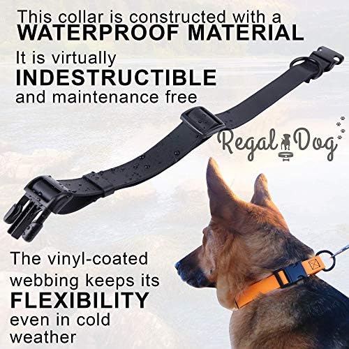 ריגל כלב מוצרים התאמה אישית קטן שמיים כחול עמיד למים צווארון עם חוזק גבוה אבזם וכבד החובה טבעת - מתכוונן ריח