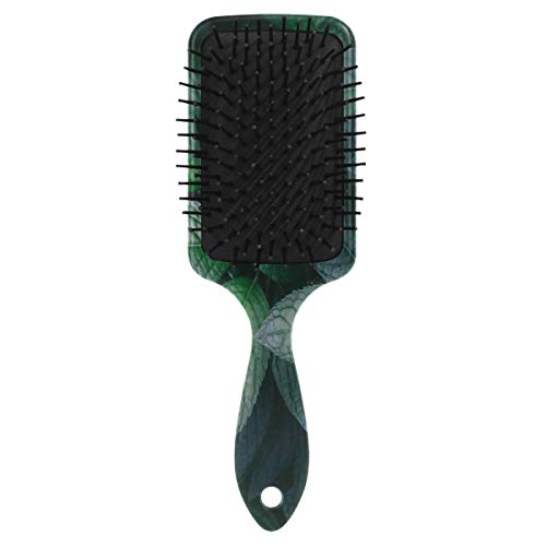 מברשת שיער של כרית אוויר של VIPSK, עלה ירוק צבעוני פלסטיק, עיסוי טוב מתאים ומברשת שיער מתנתקת אנטי סטטית לשיער