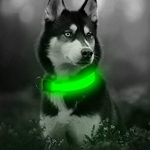 Illumifun LED צווארון כלבים, USB נטען צווארון כלבים מואר, צווארון בטיחות זוהר מהורהר הופך את הכלבים שלך