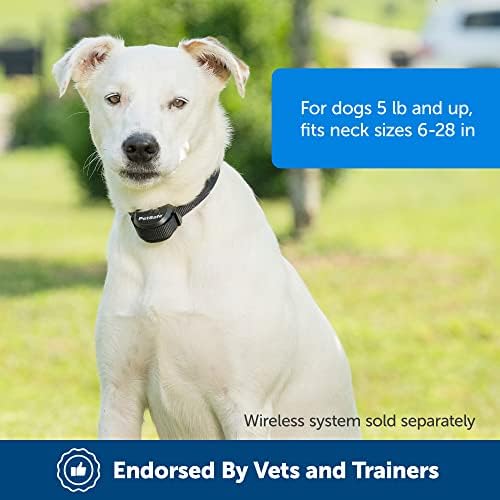PetSafe Stay & Play גדר לחיות מחמד אלחוטי עם צווארון סוללות להחלפה, משתרע על עד 3/4 דונם, לכלבים