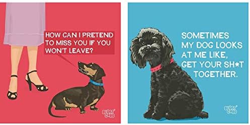 מפיות קוקטייל עם כלב מצחיק מפיות קוקטיילים לנשים מגוון - חבילה כוללת 40 מפיות נייר בשני עיצובים