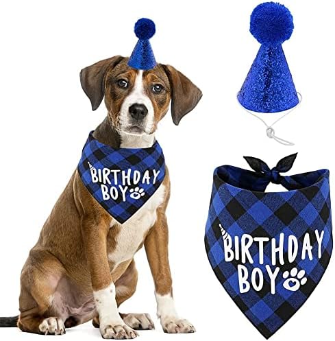 כלב יום הולדת ספקי צד, ילד / ילדה כלב יום הולדת בנדנה צעיף וכלב יום הולדת כובע עם מספר.