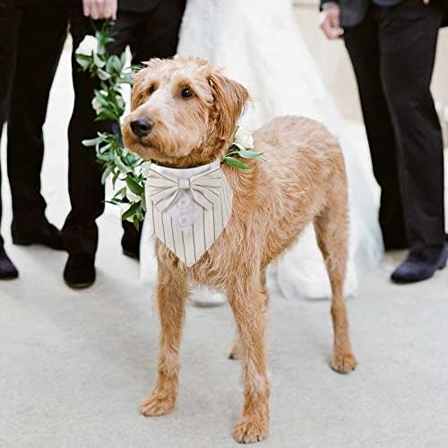 כלב טוקסידו בנדנה צווארון כלבים מתכוונן עם עניבת פרפר כלב לבוש לחתונה כלב תלבושת רשמית יום הולדת קוספליי