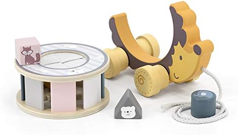 חברת הצעצועים המקורית Polarb Viga Wood צעצוע - משוך לאורך קיפוד עם גלגל המיון