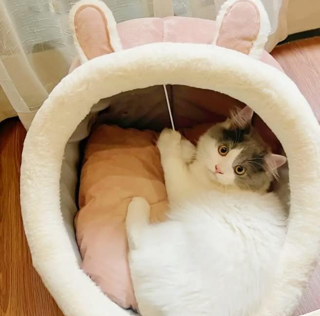 חתול מיטות לחתולים מקורה, חצי סגור חתול מערת מיטה עם קטיפה כדור חלל גדול לחתולים לישון רך ונוח