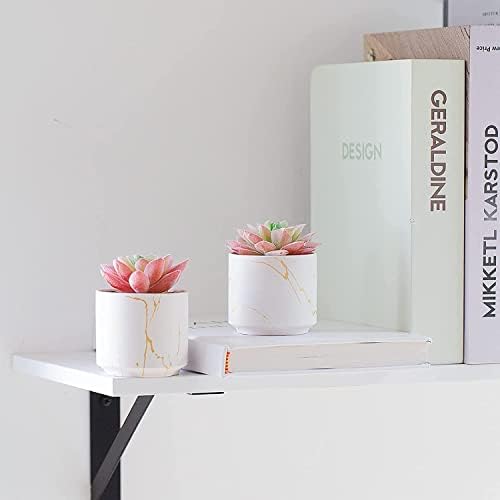 זנמג מזויף בשרניים, מיני בשרניים צמחים מלאכותי בלבן קרמיקה סירים עבור שולחן בסלון חדר אמבטיה עיצוב