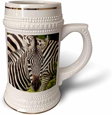 3drose Burchells Zebra, Chobe NP, Botswana - 22oz Stein Mug