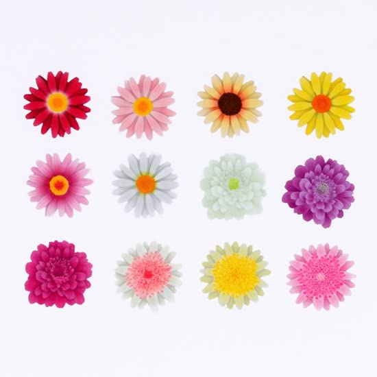 קלטת Washi Washi Claep Washi Washi - פרח מרגריט למלאכת סקראפינג DIY