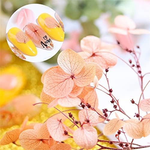 פרחים מיובשים יפני פופולרי נייל תיבת סט נייל אביזרי אלמוות פרח נייל מדבקות להרשים מניקור צרפתית
