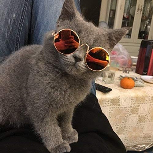 U-m pulabo premium pet megame משקפי שמש חמודים משקפי משקפי משקפי כלב קטן הגנה על עיניים חתול לחיות מחמד