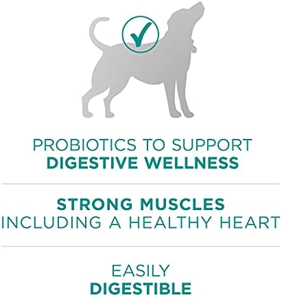 פורינה אחת פלוס פורמולה לבריאות העיכול מזון יבש לכלבים טבעי בתוספת ויטמינים, מינרלים וחומרים מזינים-16.5
