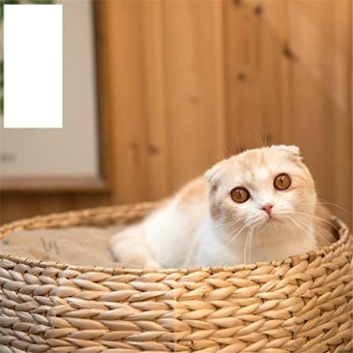 DNATS חתולים מטפסים על מסגרת חתולים חתולים מלטה חתולים עץ בית חתולים בקיץ מלטה חתולים קטנים ציוד