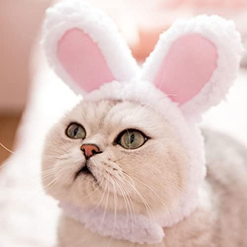 כיסוי ראש של Worparsen חתול עם אוזניים, כובע פסחא קטיף רך, כובע מחמד חתול מצויר, כובע תלבושות חמוד ארנב ארנב,