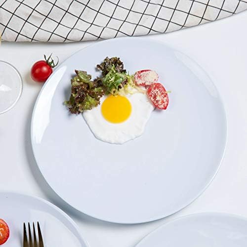 צלחות ארוחת ערב של Webbylee Melamine - 6 יחידות ארוחות כלי אוכל 10 אינץ 'מוגדרים לשימוש פנים וחוץ,
