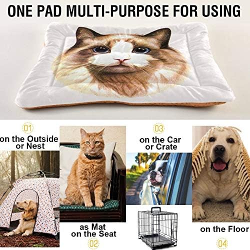 Mnsruu מיטות כלבים לחיות מחמד חתול Avatar Ultra Enty Dog and Pad Mat ללינה לחיות מחמד 18 x24