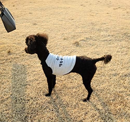 בגדי כלבים של נוער טנק קיץ טנק גופיה חולצת אפוד ללא שרוולים סוודר סוודר כלבים קוריאני סווטשירטים לרופה