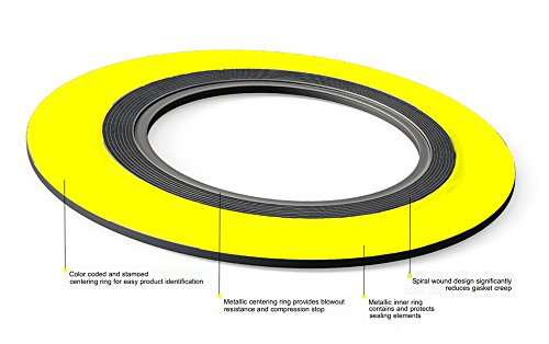 Sterling Seal and Supply, Inc. API 601 9000IR1250316PTFE300 פס ירוק עם פס לבן 316SS/PTFE אטם