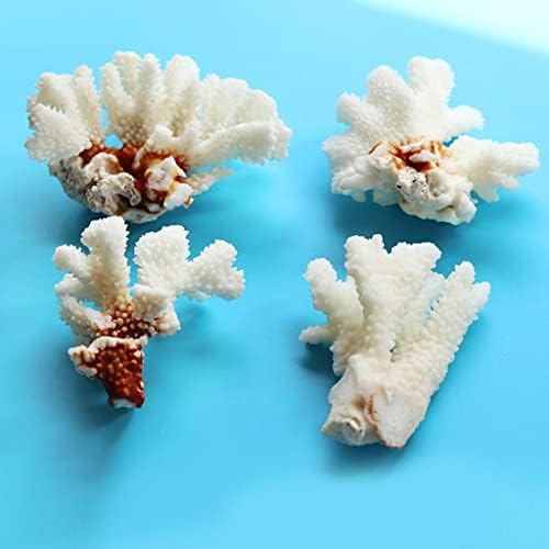 פולאבו טבעי לבן אלמוגים סניף אקווריום גינון קישוט דגי טנק קישוט פופולרי