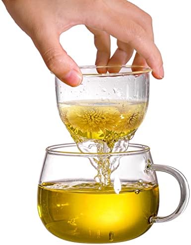ציפורן 2 מארז 13 גרם כוס תה זכוכית עם מכסה וערכת חליטת תה, ספלי תה עם מסננת, ספלי תה שקופים עם פילטר תה, כוסות
