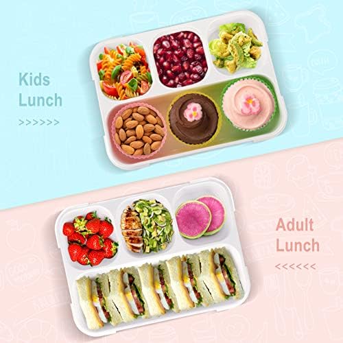 קופסת ארוחת צהריים של בנטו לילדים, 4 תא קופסת ארוחת צהריים להוכחת דליפת דליפות, קופסת חטיפים בנטו
