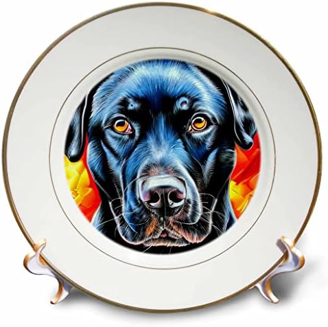3drose Black Labrador Retriever כלב על עיצוב בית אמנות דיגיטלי אדום וצהוב - צלחות