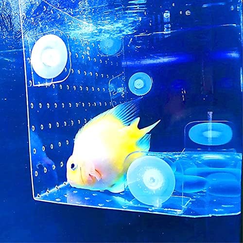 אלפי חיות מחמד-קולמוס 2-חתיכה להגדיר אקווריום דגי טנק מחיצת בידוד לוח עם יניקה כוסות-גודל: קטן