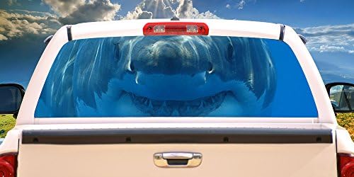 כריש 1 16 x54 חלון אחורי גרפי טנדר קומפקטי טנדר גוון נוף סרטים דרך ויניל