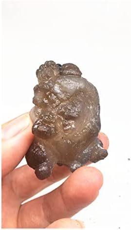 ALREMO קוורץ אבן טבעית קוורץ גביש צורה של חיה של דגימות אבן גולמיות לינג צ'י צ'אקרה