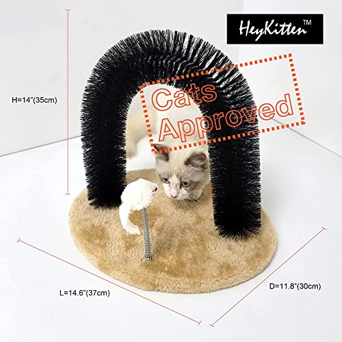קשת חתול עצמית של Heykitten Cat עם עכבר צעצוע & אולטרה רך כרית חתולים משולבת מיטת חתול