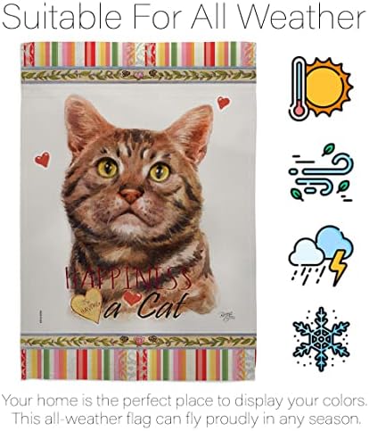 רוח דקור אמריקאי קצר שיער אושר בית דגל חבילה חתול חתלתול מייאו מפונק כפה פרווה לחיות מחמד טבע חוות