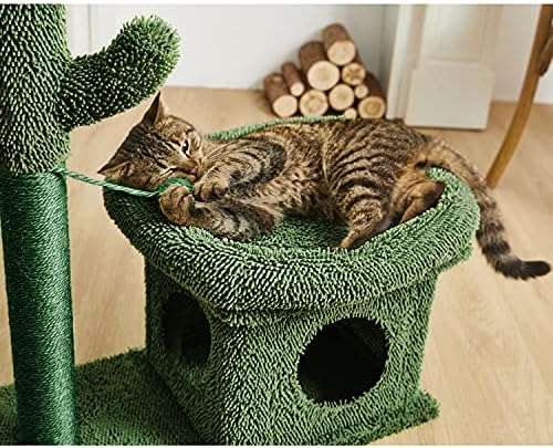 קטינסיידר 2 ב-1 חתול מגרד דירה קיטי עם כדור מתנדנד לחתולים קטנים ירוק
