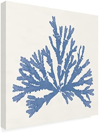 סימן מסחרי אמנות 'פסיפיק ים מוסס IV כחול בהיר' אמנות בד מאת תיק תפוחים פראי 24x24