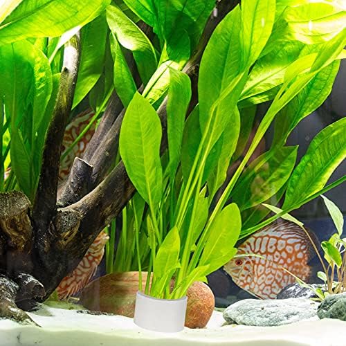 6 חתיכות צמחי מים קבוע טבעת אקווריום צמח משקולות סיר אנטי צף אקווריום נוף קרמיקה צמח תיקון דגי טנק אבזרים