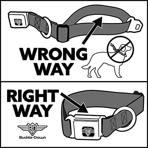 צווארון כלב אבזם חגורת בטיחות טקסט טקסט שחור לבן 11 עד 17 אינץ 'ברוחב 1.0 אינץ'