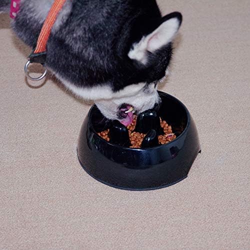 סופר עיצוב כלב קערת חתול קערת איטי מזין איטי הרגל אכילה יצרנית כלב חתול מזון קערה נגד בליעה גור איטי מזין קערת