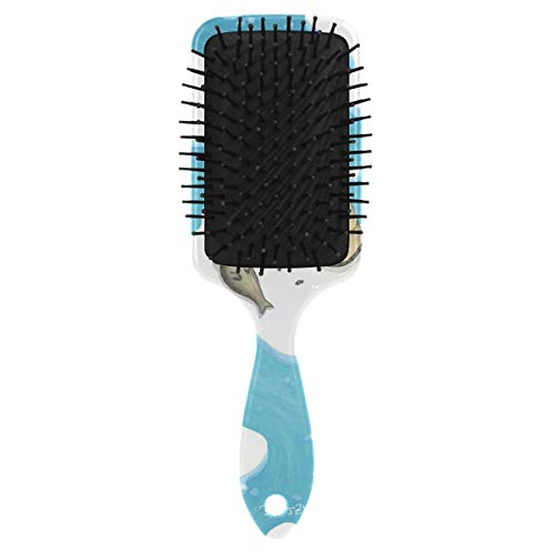מברשת שיער של כרית אוויר של VIPSK, חותם פנאי צבעוני פלסטיק, עיסוי טוב מתאים ומברשת שיער מתנתקת