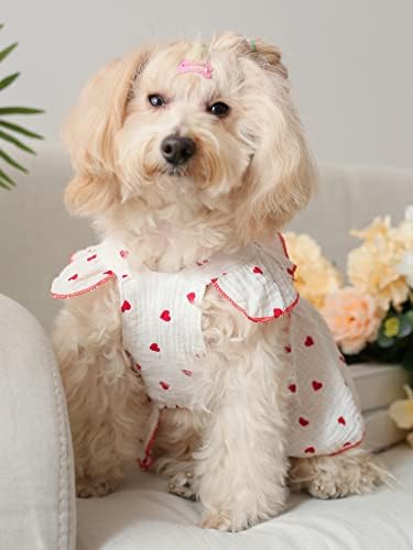 Qwinee Heart הדפס כלב שמלת חתול קשת עיצוב שמלות כלב חמודות גור חצאית טוטו צ'יוואווה