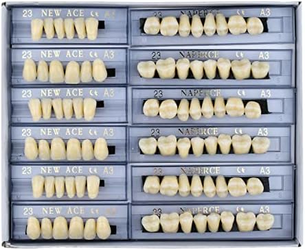 168 יח 'שיניים שיניים סינטטי שיניים תותבת 3 קובע שיניים שווא