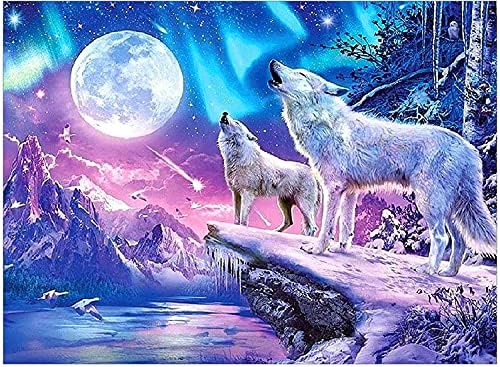 צבע ACIOPPL לפי מספרים למבוגרים זאב מתחילים ילדים בעלי חיים DIY DIY ערכות ציור אקרילי ערכות שמן ירח