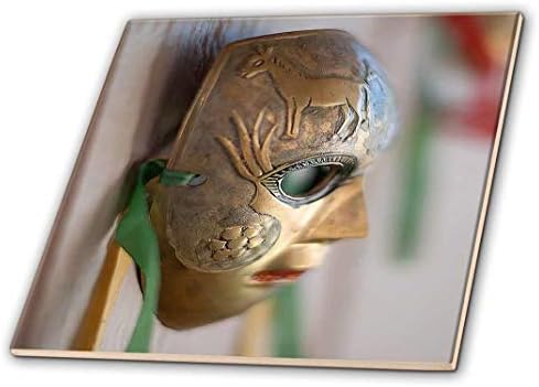 3 רוז סי טי_52054_3 מסכת פנים מסכות מתכת תלויה על קיר שנורה מהצד התלוי בחוץ-אריחי קרמיקה, 8 אינץ